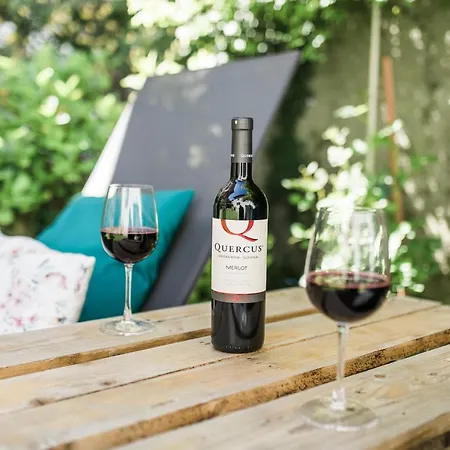 Stulceva Hisa * موست نا سوتشي