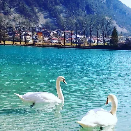 Stulceva Hisa Tatil Evi Most na Soči