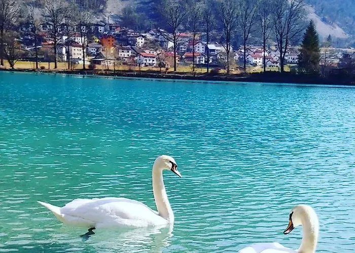 Stulceva Hisa Casa vacanze Most na Soči
